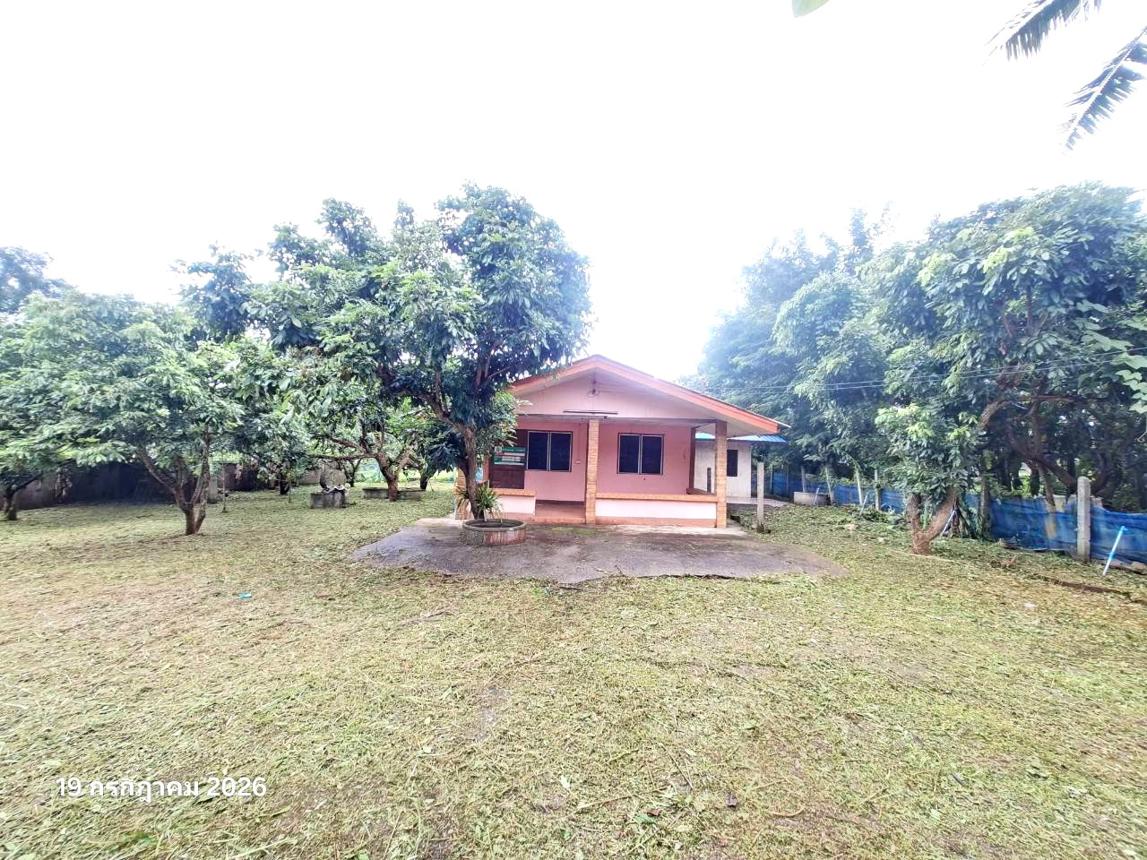 รูป บ้านเดี่ยว 205 ตร.วา พร้าว เชียงใหม่ 1M - รูปที่ 19/39