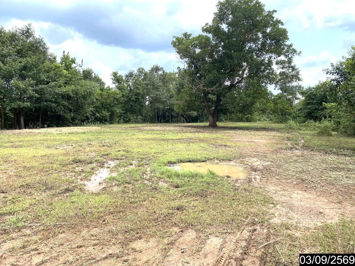 picture LAND 6586 Sq.w. Nongkai for 12.2M - 21/35