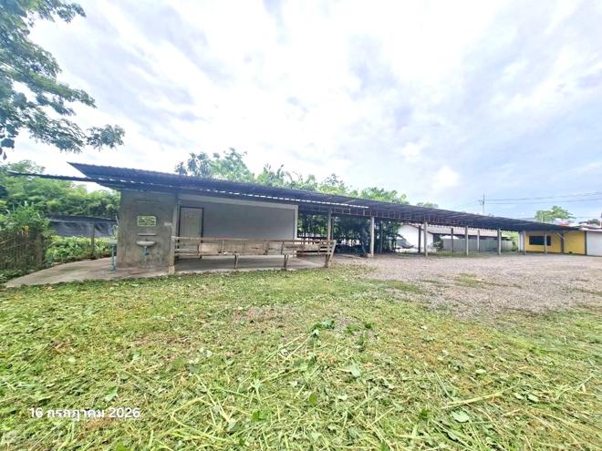picture OFFICE 280 Sq.w. San Pa Tong Chiang Mai for 5.8M - 17/39
