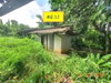 listing thumbnail image 19