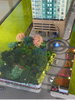 listing thumbnail image 13