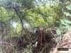 listing thumbnail image 10