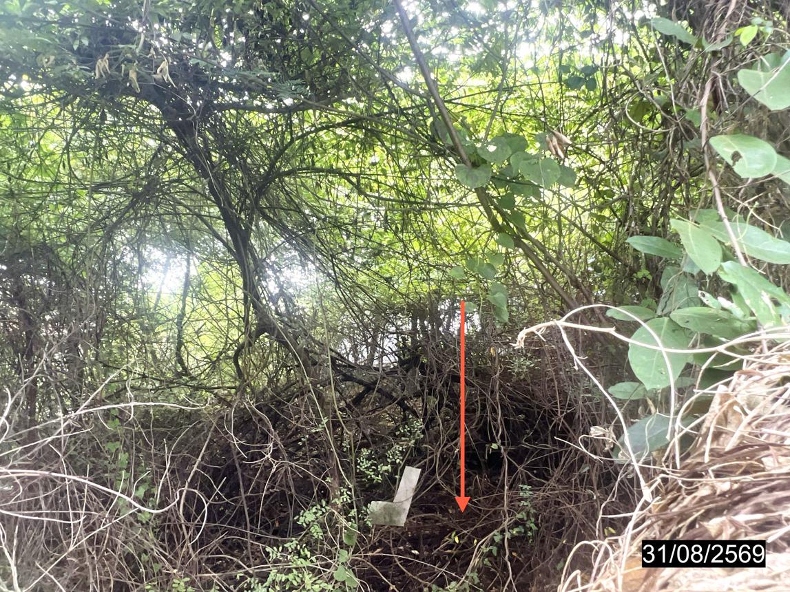 picture LAND 96.7 Sq.w. Muang Khon Kaen Khon Kaen for 2.9M - 11/15