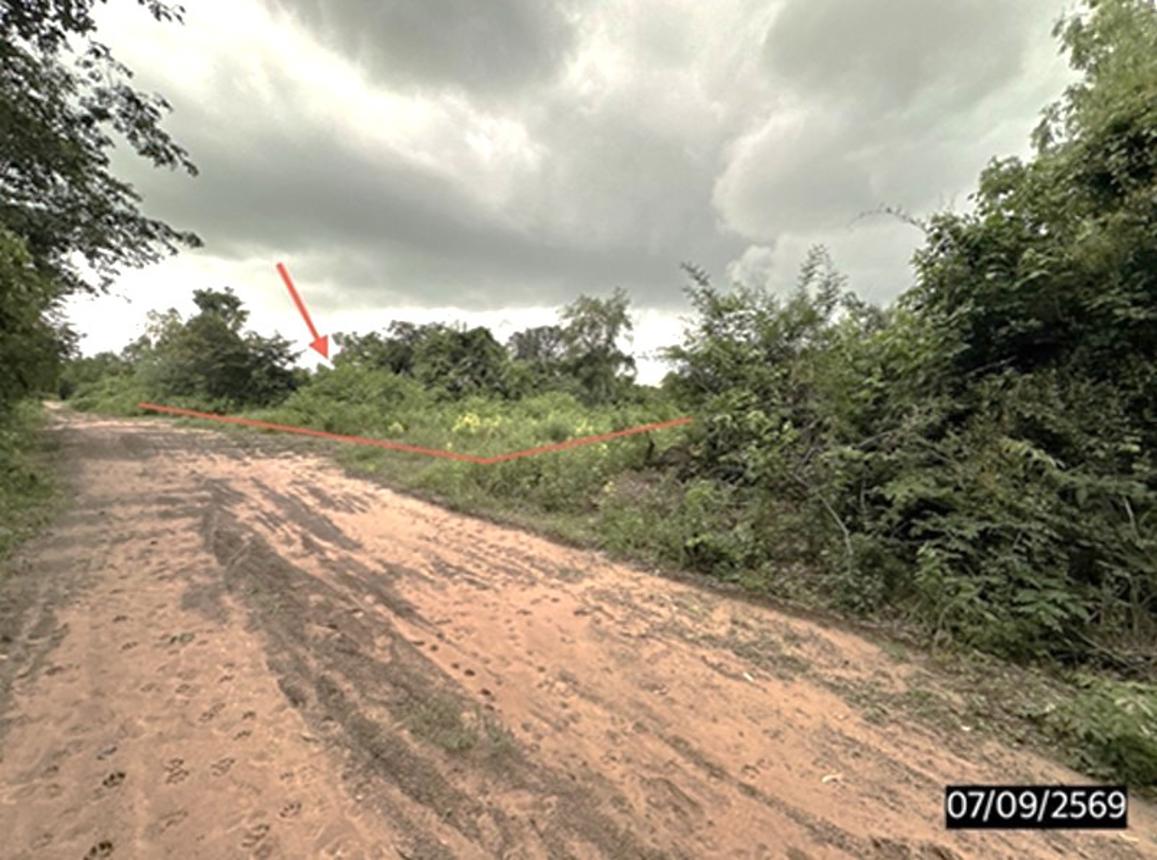 รูป ที่ดินว่างเปล่า 1310 ตร.วา จตุรพักตรพิมาน ร้อยเอ็ด 819,000 - รูปที่ 9/15