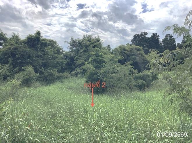 picture LAND 4686.2 Sq.w. Lat Yao Nakhon Sawan for 7M - 10/27