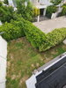listing thumbnail image 16