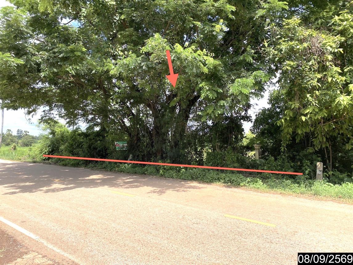 picture LAND 478 Sq.w. Sra Khrai Nongkai for 956,000 - 10/21