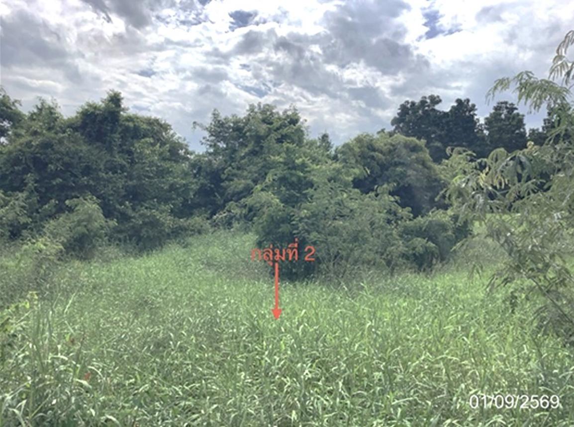 picture LAND 4686.2 Sq.w. Lat Yao Nakhon Sawan for 7M - 21/27