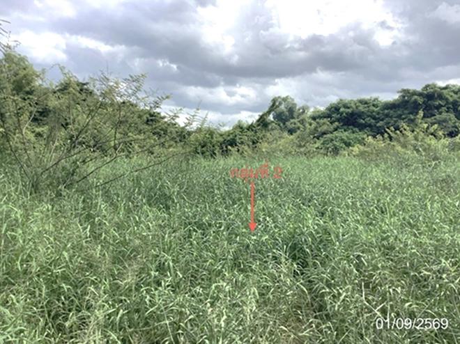 picture LAND 4686.2 Sq.w. Lat Yao Nakhon Sawan for 7M - 12/27