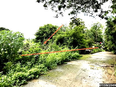 ที่ดิน เชียงราย : ที่ดินว่างเปล่า 904 ตร.วา เวียงชัย เชียงราย 1.5M
