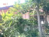 listing thumbnail image 13