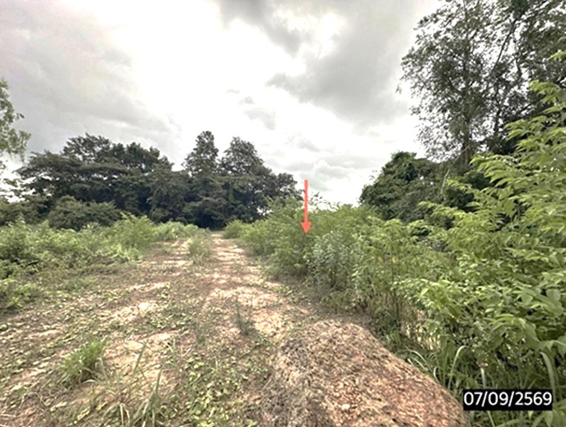 รูป ที่ดินว่างเปล่า 1310 ตร.วา จตุรพักตรพิมาน ร้อยเอ็ด 819,000 - รูปที่ 11/15