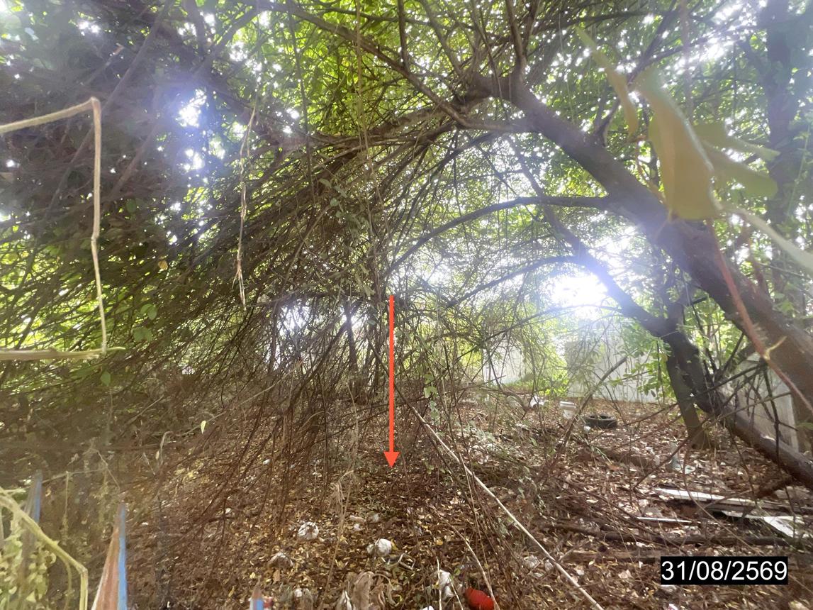 picture LAND 96.7 Sq.w. Muang Khon Kaen Khon Kaen for 2.9M - 10/15