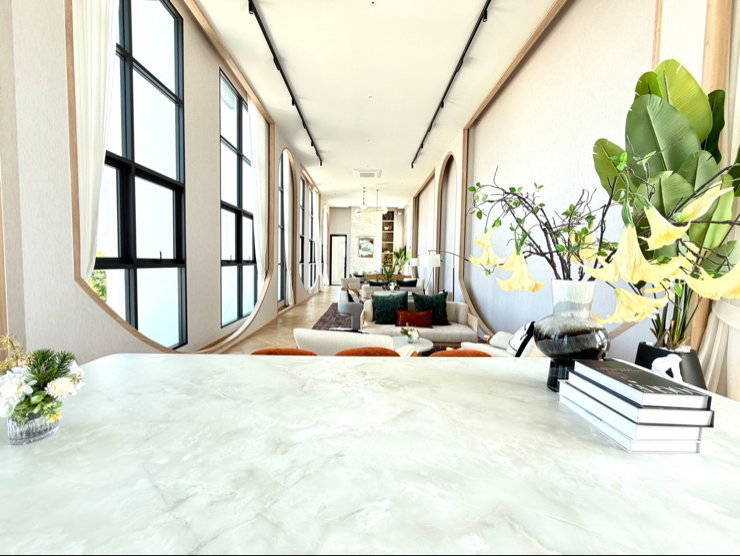 picture Large, luxurious rental house; fully furnished and equipped with appliances. - 14/50