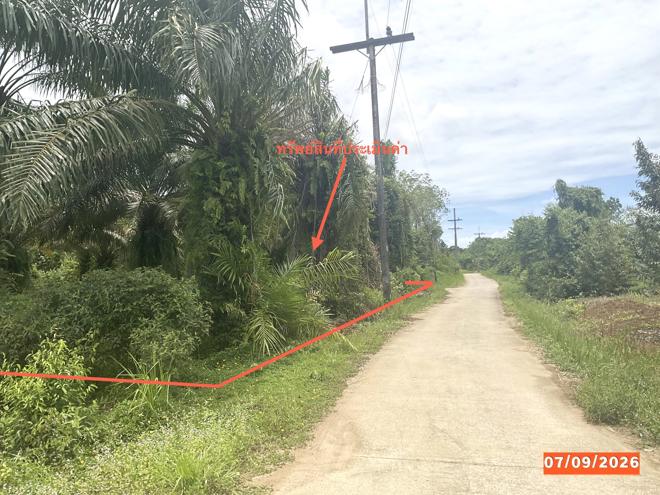 picture LAND 1323 Sq.w. Palian Trang for 1.3M - 4/15