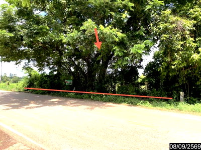 Land for sale Sra Khrai Nongkai : LAND 478 Sq.w. Sra Khrai Nongkai for 956,000