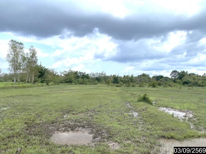 picture LAND 6586 Sq.w. Nongkai for 12.2M - 11/35