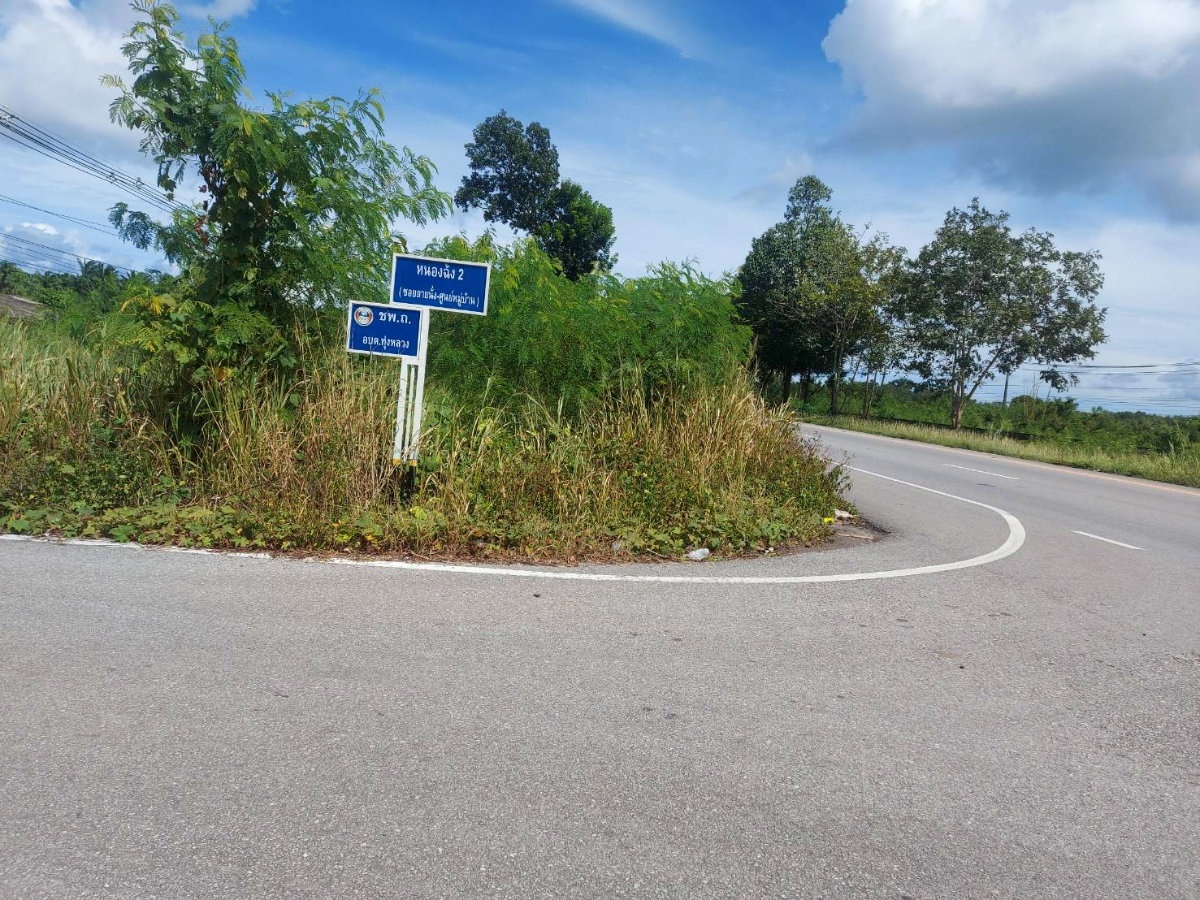 รูป ขายที่ดิน 49-2-99 ไร่ ติดถนนเพชรเกษม (ทล.41) ที่ดินหัวมุม ติดถนน 2 ด้าน ละแม ชุมพร ราคา 50 ล้าน - รูปที่ 7/9