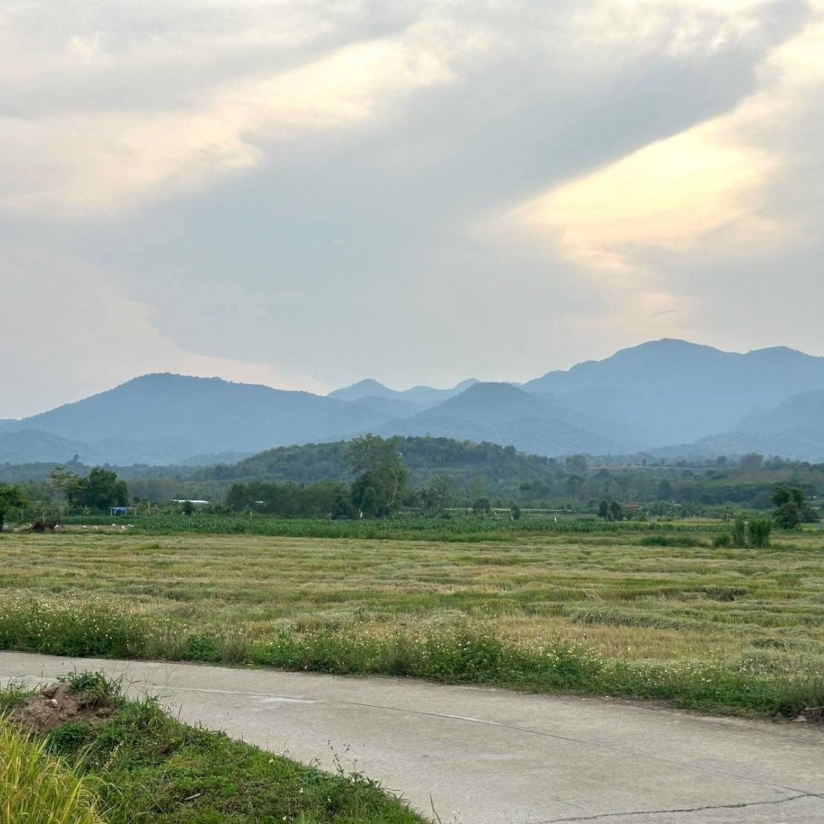 ที่ดิน 11 ไร่ 3 งาน 71 ตร.วา เมืองฝาง จ.เชียงใหม่ วิวเขา อากาศดี