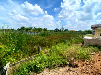 ที่ดิน ไทรน้อย นนทบุรี : 94878 - ขายที่ดินสวย เหมาะสำหรับ สร้างเพื่ออยู่อาศัย หรือเพื่อการลงทุนในอนาคต ด้านติดถนน ด้านหลังติดคลองตาชม