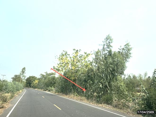 picture LAND 1200 Sq.w. Nong Rua Khon Kaen for 3.6M - 6/15