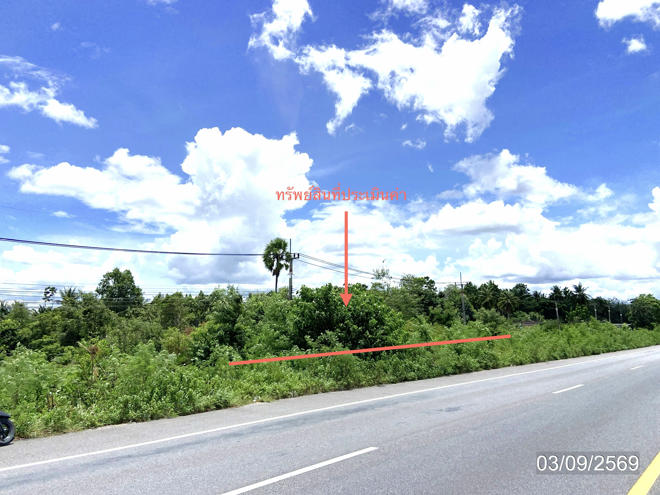 รูป ที่ดินว่างเปล่า 1610.7 ตร.วา รัตภูมิ สงขลา 14.5M - รูปที่ 4/21