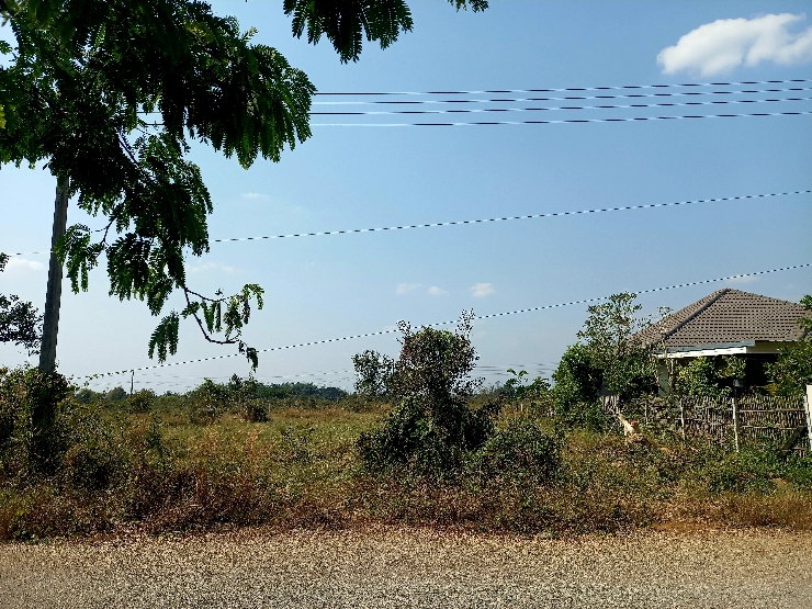 รูป ที่ดินหมู่บ้านเบญจรงค์ หารแก้ว - รูปที่ 6/6