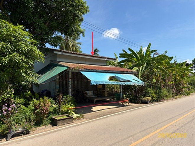 รูป บ้านเดี่ยว 59 ตร.วา เมืองพิษณุโลก พิษณุโลก 616,000 - รูปที่ 4/11