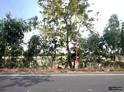 Land for sale Khon Kaen : LAND 1200 Sq.w. Nong Rua Khon Kaen for 3.6M