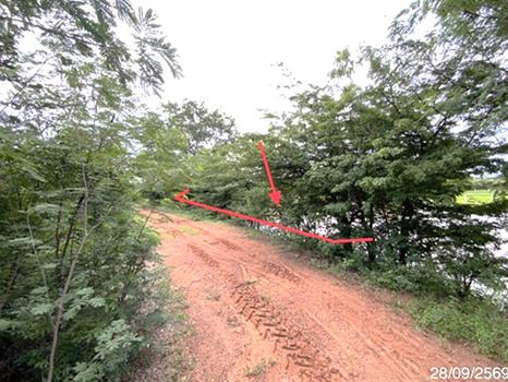 รูป ที่ดินว่างเปล่า 200 ตร.วา โคกสำโรง ลพบุรี 250,000 - รูปที่ 10/13