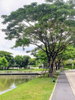 listing thumbnail image 13