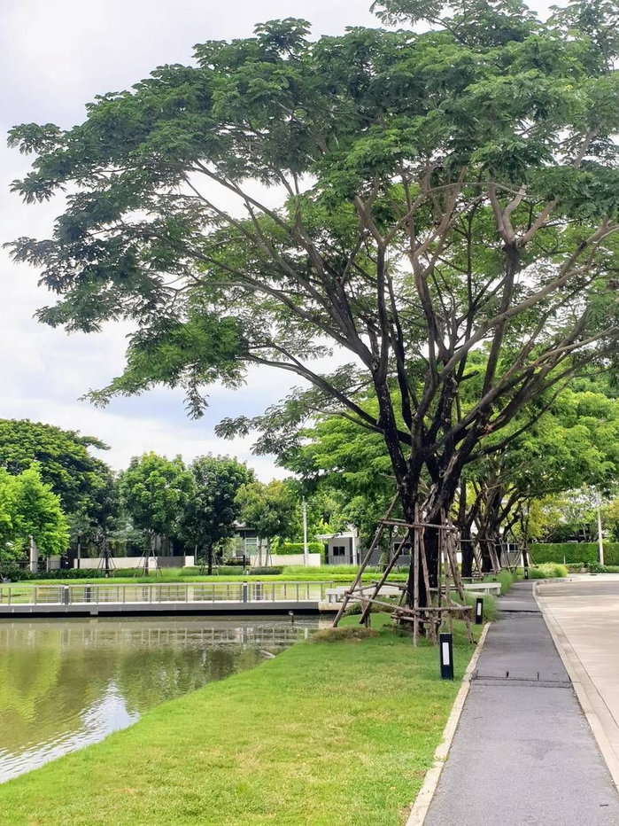 รูป บ้านเดี่ยว มัณฑนา วงแหวน-บางบอน ถ.บางบอน 4  บ้านสวย หลังมุม แต่งครบ พร้อมอยู่ !  ลดแหลกเหลือเพียง 10.99 ลบ. สนใจทักไลน์: siriwong.in - รูปที่ 14/14