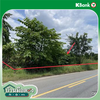 listing thumbnail image 12