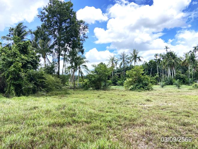 รูป ที่ดินว่างเปล่า 1610.7 ตร.วา รัตภูมิ สงขลา 14.5M - รูปที่ 9/21