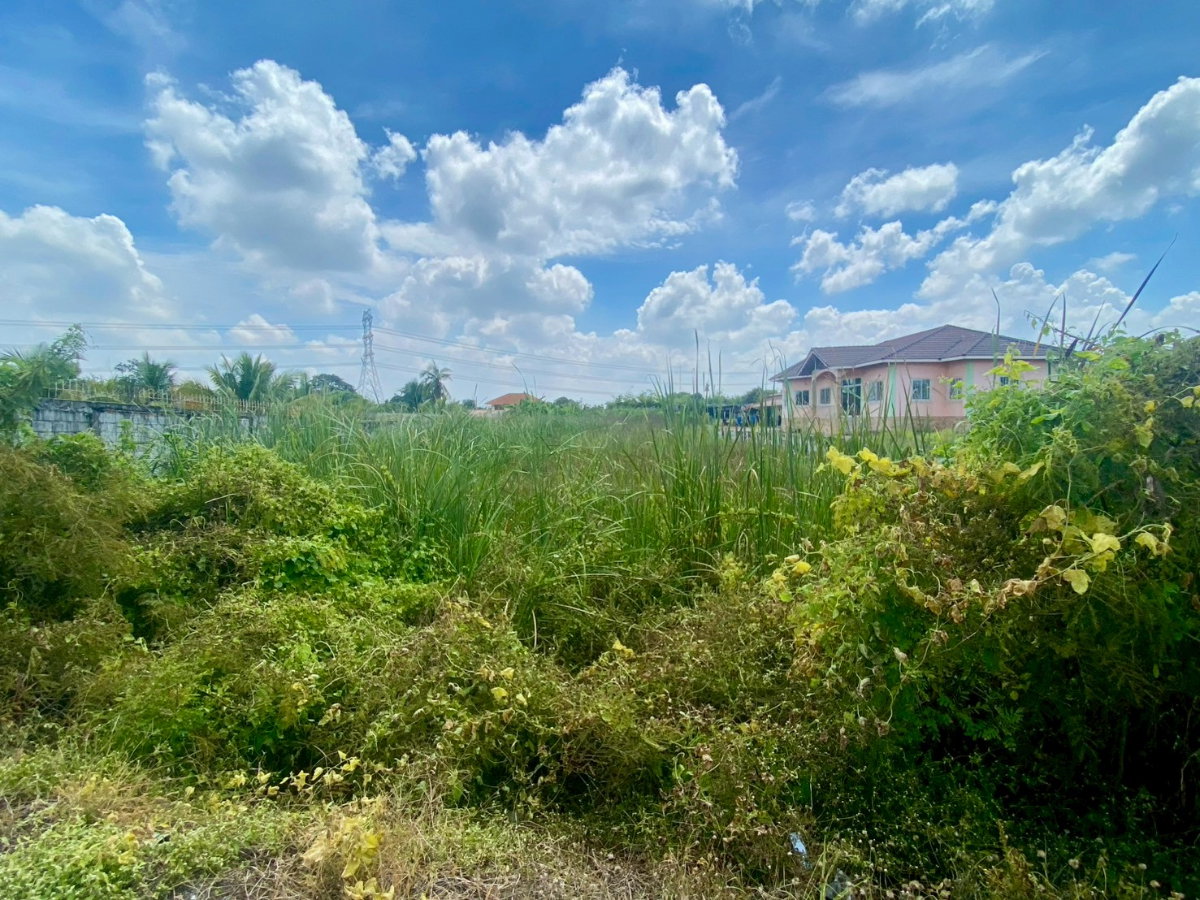 รูป 94878 - ขายที่ดินสวย เหมาะสำหรับ สร้างเพื่ออยู่อาศัย หรือเพื่อการลงทุนในอนาคต ด้านติดถนน ด้านหลังติดคลองตาชม - รูปที่ 2/8