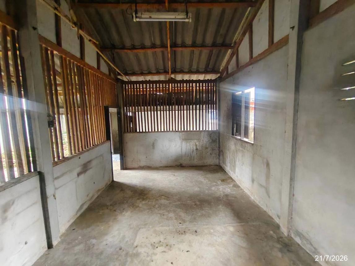 รูป บ้านเดี่ยว 61 ตร.วา ภูเขียว ชัยภูมิ 1M - รูปที่ 31/37