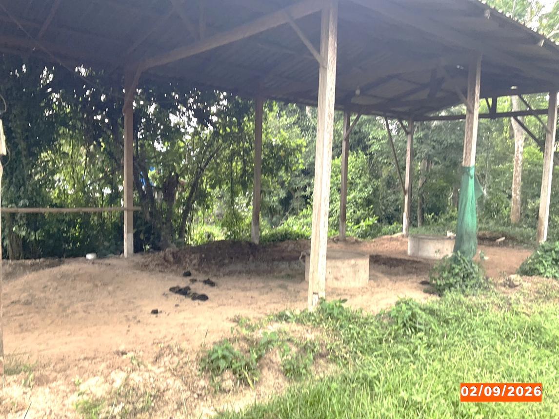 picture FACTORY 643 Sq.w. Thung Song Nakhon Sri Thammarat for 1.7M - 10/17