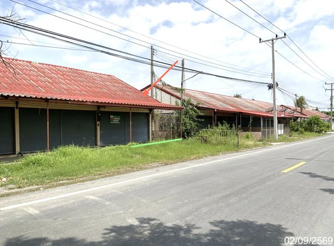 รูป อาคารพาณิชย์ 23.2 ตร.วา สามโก้ อ่างทอง 500,000 - รูปที่ 4/21