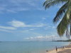 listing thumbnail image 16