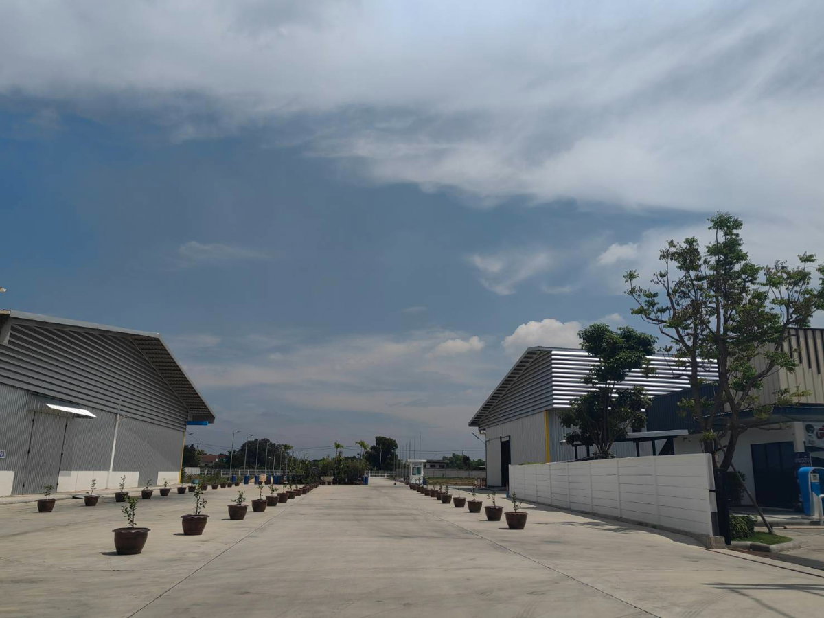 รูป ให้เช่าโกดัง คลังสินค้าใหม่ บริเวณพหลโยธิน กม. 40 ใกล้มอเตอร์เวย์ตรงข้ามมหาวิทยาลัยธรรมศาสตร์ เดินทางสะดวก - รูปที่ 2/9