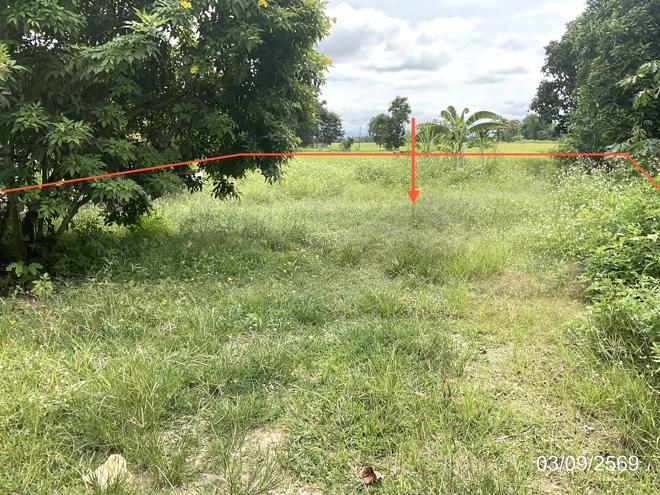 รูป บ้านเดี่ยว 205 ตร.วา จุน พะเยา 1M - รูปที่ 11/25
