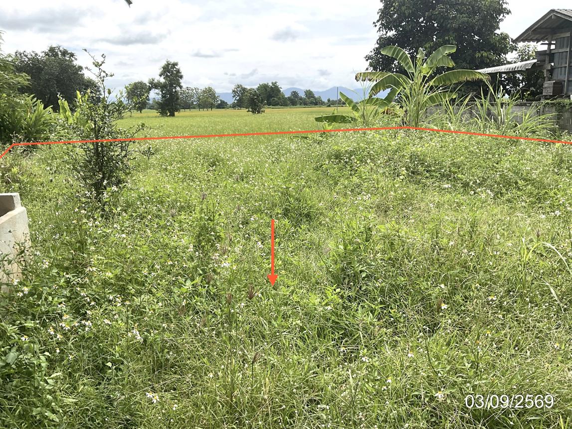 รูป บ้านเดี่ยว 205 ตร.วา จุน พะเยา 1M - รูปที่ 20/25