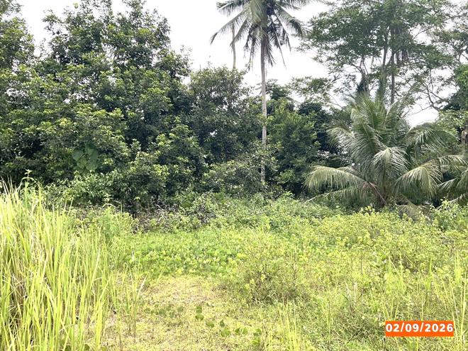 picture FACTORY 643 Sq.w. Thung Song Nakhon Sri Thammarat for 1.7M - 7/17