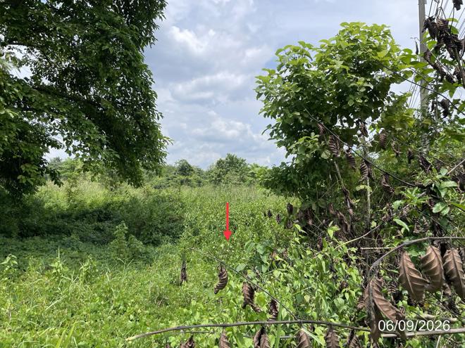 picture LAND 4000 Sq.w. Chon Daen Phetchabun for 2.4M - 5/15