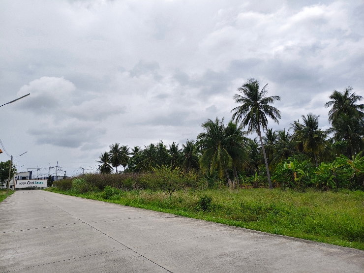 รูป ขายทาวน์เฮ้าส์บางละมุง พัทยา ตะเคียนเตี้ย The Next Village พร้อมอยู่ ฟรีโอน - รูปที่ 17/17