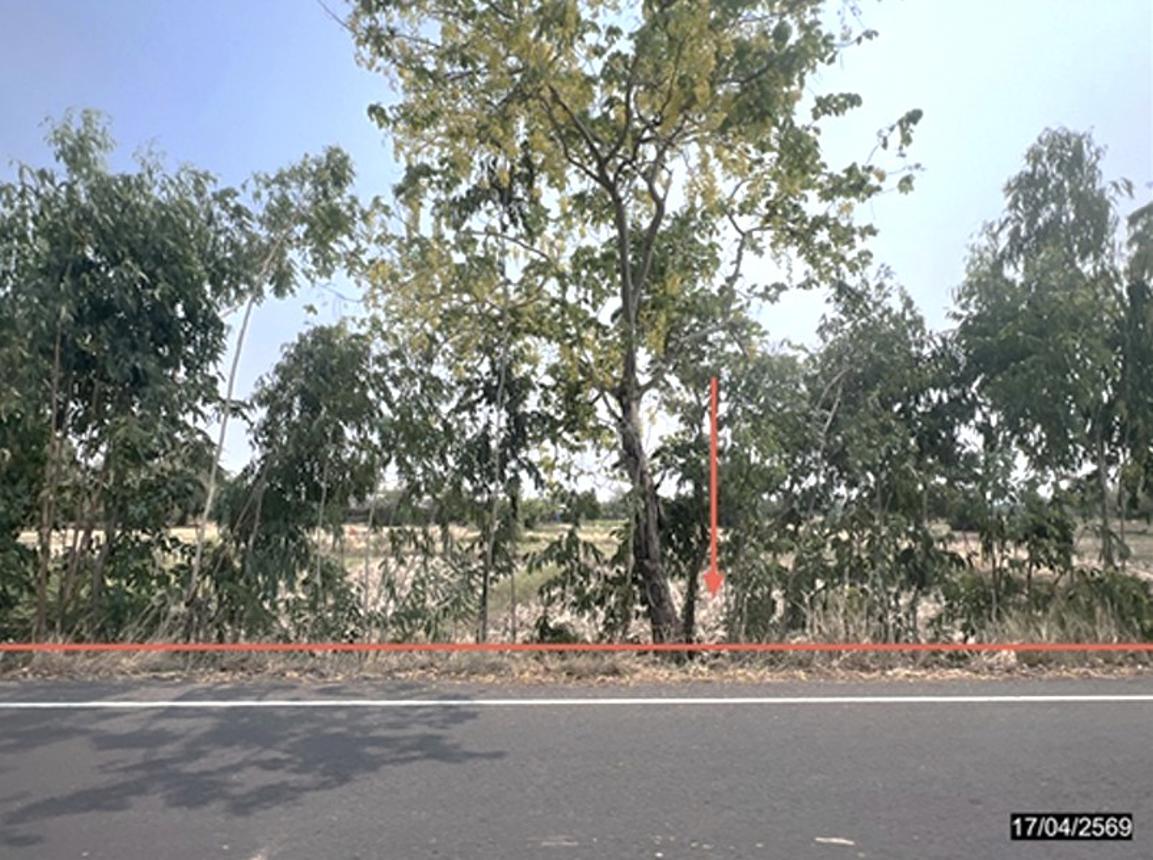 picture LAND 1200 Sq.w. Nong Rua Khon Kaen for 3.6M - 7/15