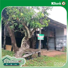 listing thumbnail image 22