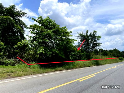 LAND 4000 Sq.w. Chon Daen Phetchabun for 2.4M
