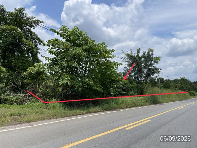 picture LAND 4000 Sq.w. Chon Daen Phetchabun for 2.4M - 1/15