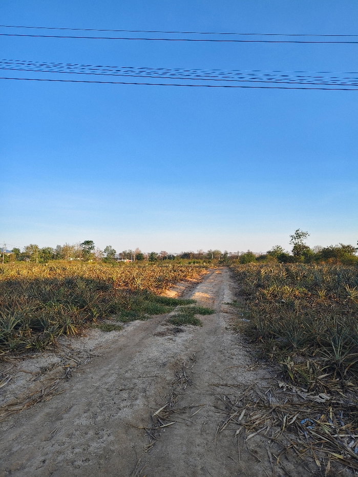 รูป ขายที่ดินหัวหิน ตำบลหินเหล็กไฟ ที่ดินประจวบคีรีขันธ์ เริ่มต้น 690,000 - รูปที่ 3/8